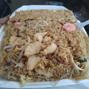 Large combo fried rice