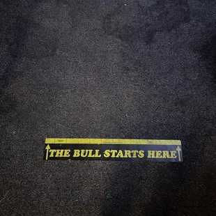 the bull starts here