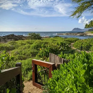 Shhhh...this is the way to Secret Beach ^_^