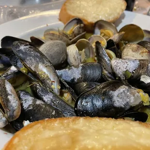 Steamed clams/mussels