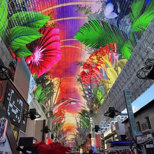 Fremont Street still had incandescent bulbs last time I was in here (it's been a bit)