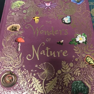 So many cute children&apos;s books!