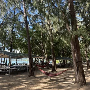 Hammocks, shaded seating area