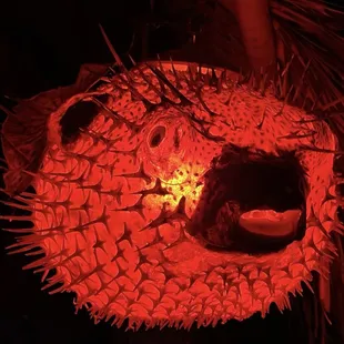 My fav puffer light