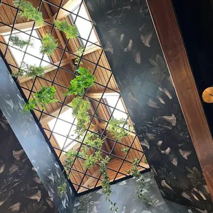 Glorious skylight (view from below)