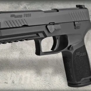 P320