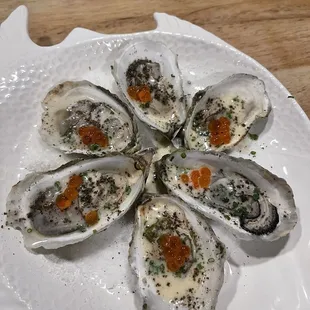 food, mussels, oysters, oysters and mussels, shellfish