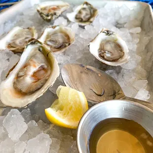 Raw Oysters