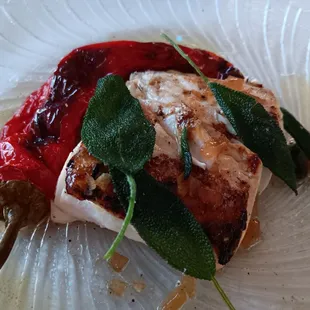 Halibut