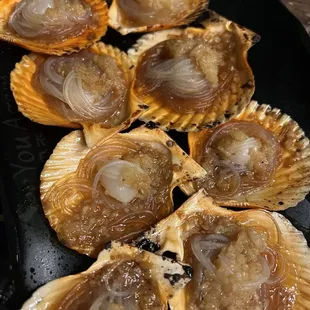 Scallops