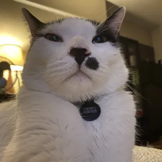 J L.