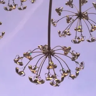 individual LED's light up after dark