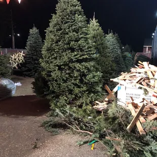 Oversized tree selection