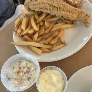 Fish dinner (catfish with fries)