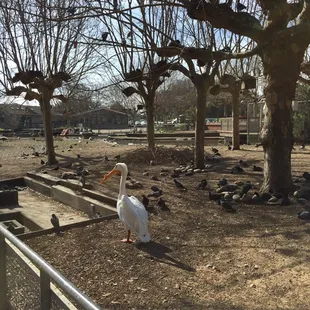 From far away there is a certain beauty, but a closer look it actually isn't for me. The things that follow you on your tour.