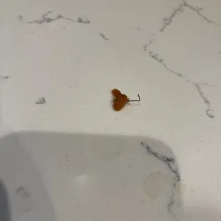 Metal in my food.