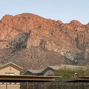 Our view while dining on the patio.