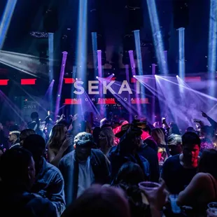 a crowd of people at a nightclub