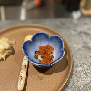 Ikura