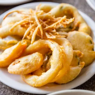fried onion rings