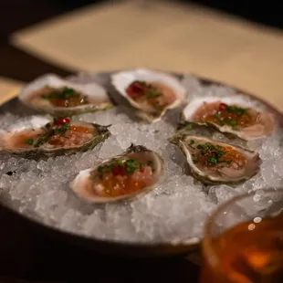 Oysters (6 total)