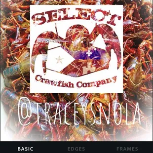 a picture of a crawfish