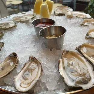 Oysters