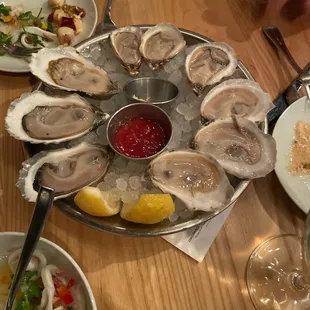 Oysters