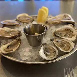 Oysters