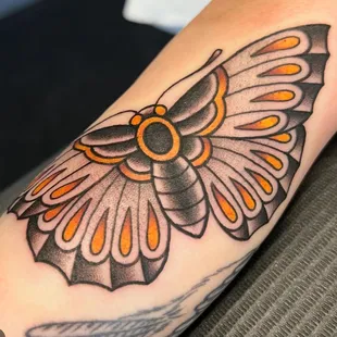 Cool moth by morgan