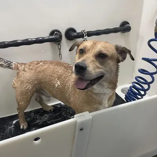 Happy boy getting cleaned up!