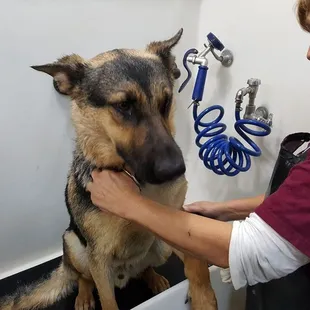 Our babies at the Spa