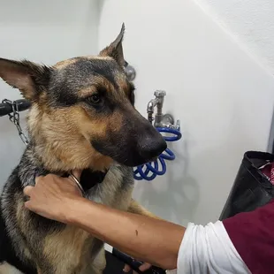 Pics of both our babies