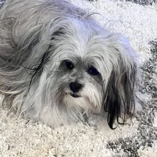 Abby after her spa treatment.