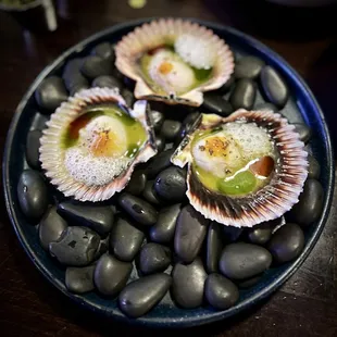 Scallop Crudo
