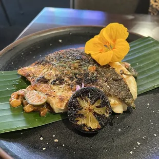 Market Fish