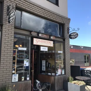 a dog outside