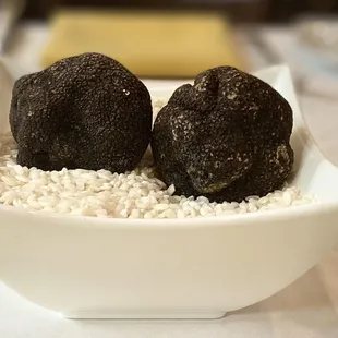 Black Truffles