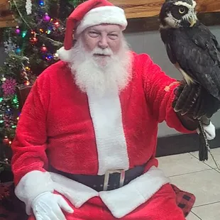 a man dressed as santa claus with an owl