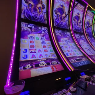 I did not win the Buffalo