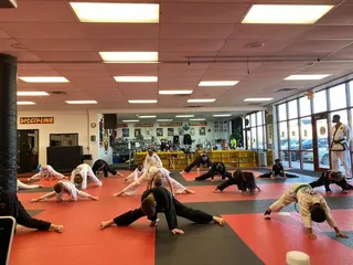 Martial Arts International