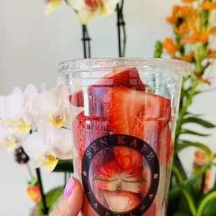 Fresh cut daily fruits