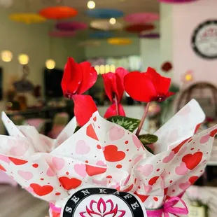 Cute flower pot for V day