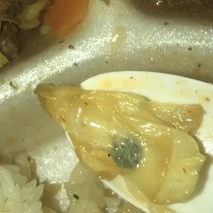 A piece of molding cabbage