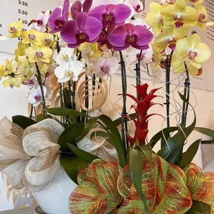Lively orchids on Counter.  Brighten the moods