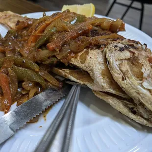 Snapper