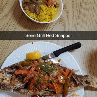 Red Snapper