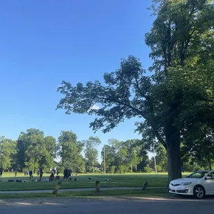 Typical weekday evening at Seneca Park. Sports teams. Walkers. Runners. That's a women's football team in the grass.