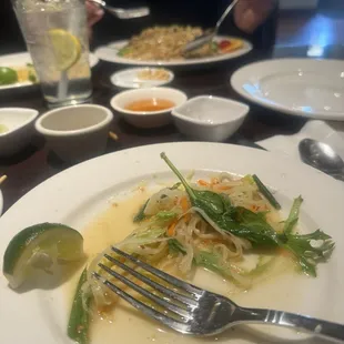 The last bit of my share of the papaya salad. It was so good I forgot to photograph. In the background is Pad Thai.