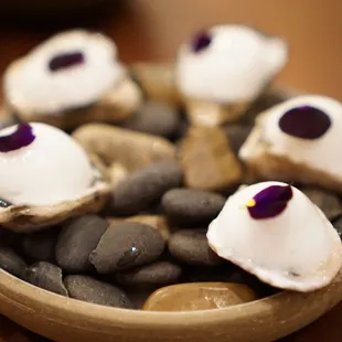 Kusshi Oyster